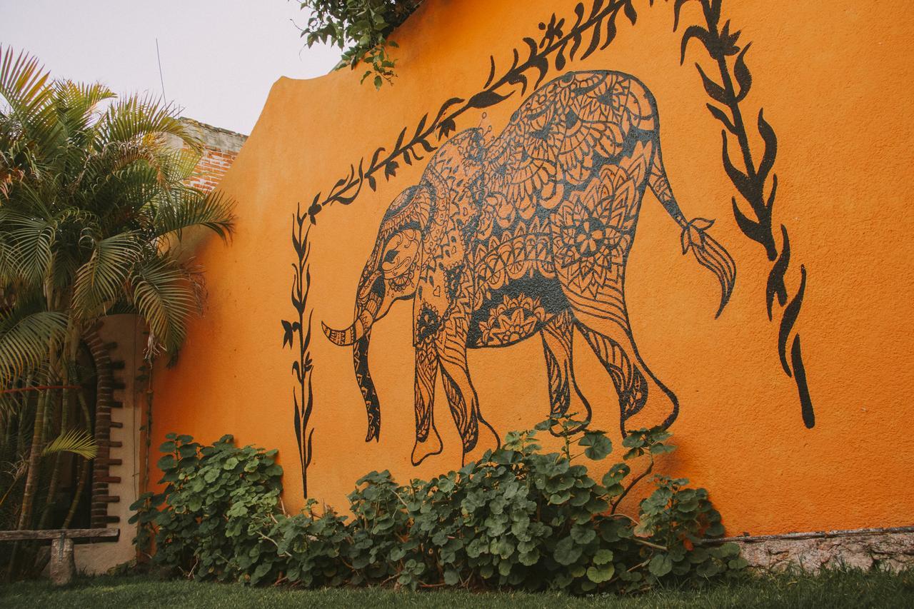 Casa Los Naranjos San Miguel de Allende Exteriér fotografie