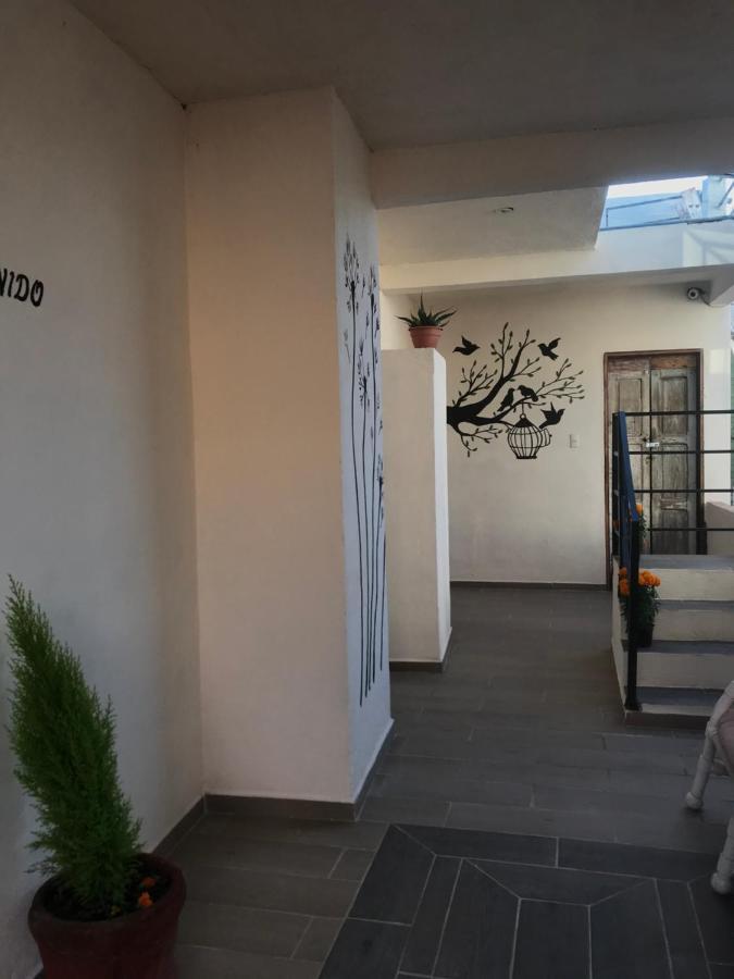 Casa Los Naranjos San Miguel de Allende Exteriér fotografie