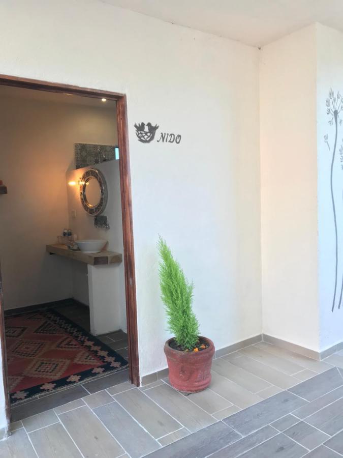 Casa Los Naranjos San Miguel de Allende Exteriér fotografie